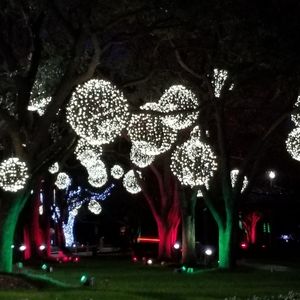 Meet your Posher, Ramona